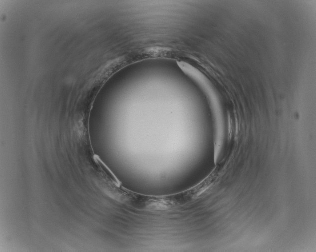 X0000071850611200606301339