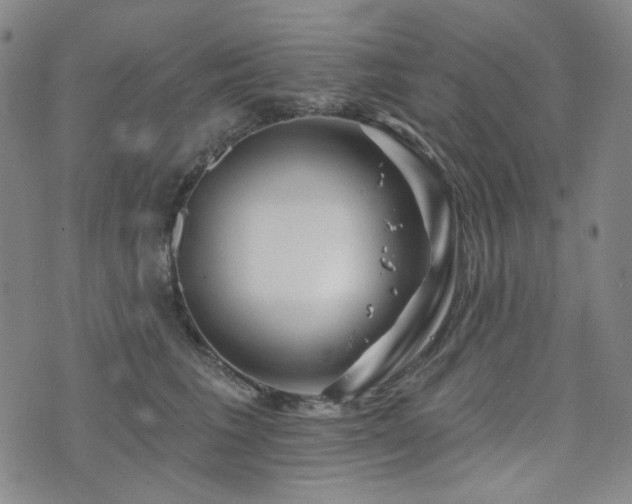 X0000071850613200606301339