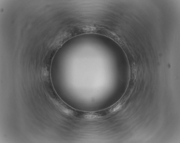 X0000071850614200606301339