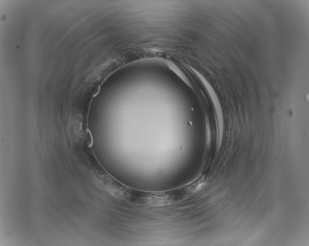 X0000071850615200606301339