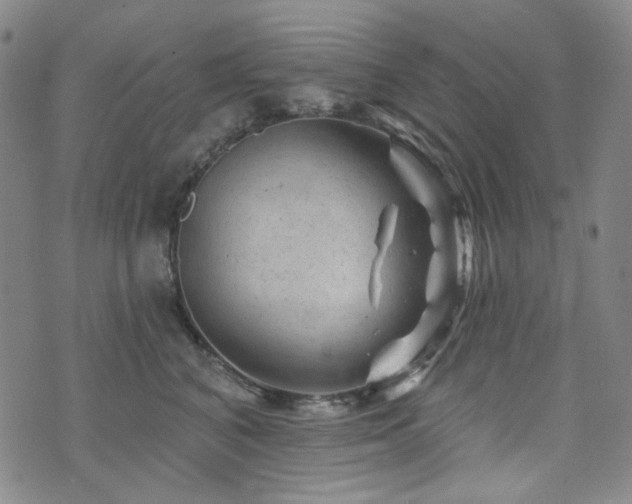 X0000071850616200606301339