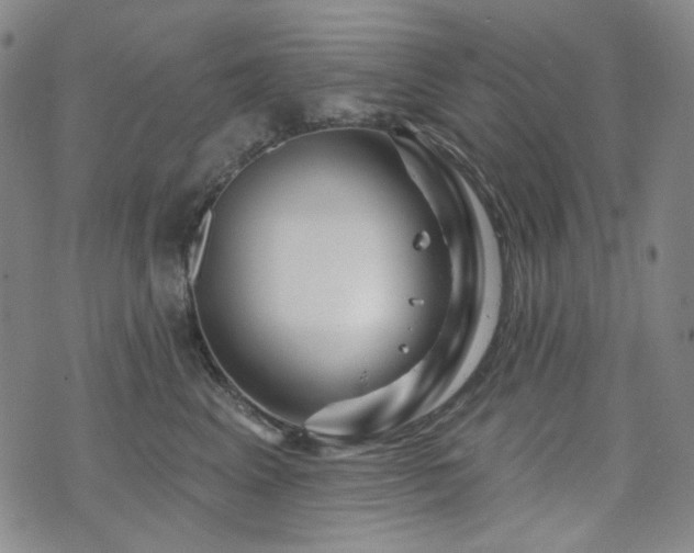 X0000071850617200606301339