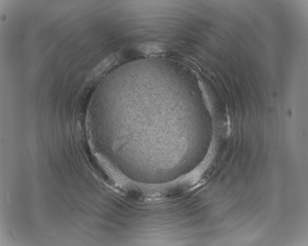 X0000071850618200606301339