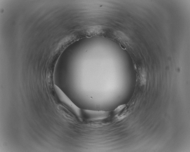 X0000071850619200606301339