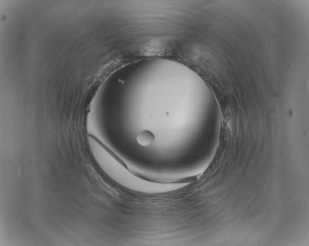 X0000071850620200606301339