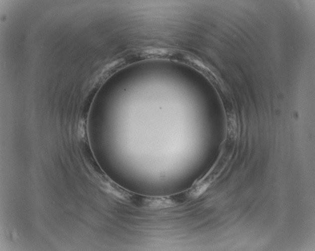 X0000071850621200606301339