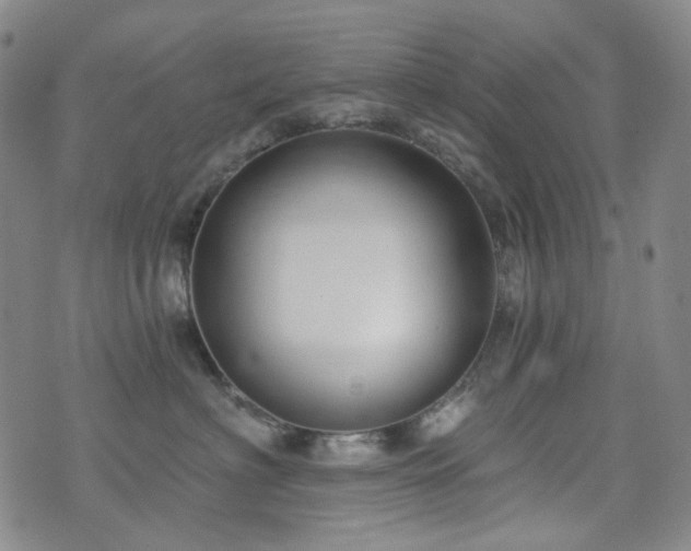 X0000071850622200606301339