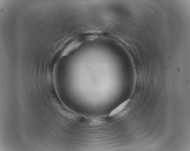 X0000071850623200606301339