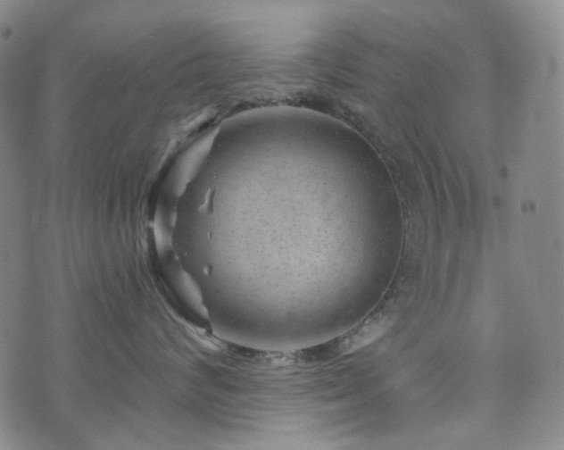 X0000071850624200606301339