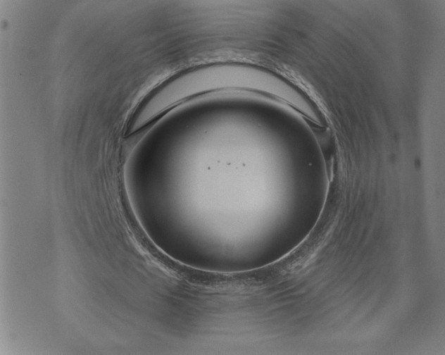 X0000071850625200606301338