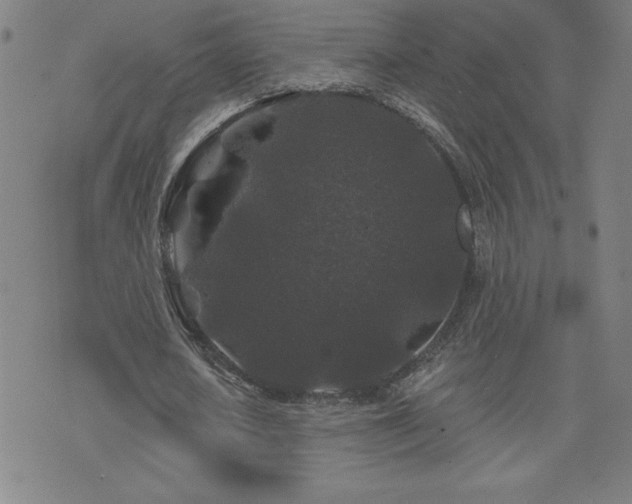 X0000071850626200606301338