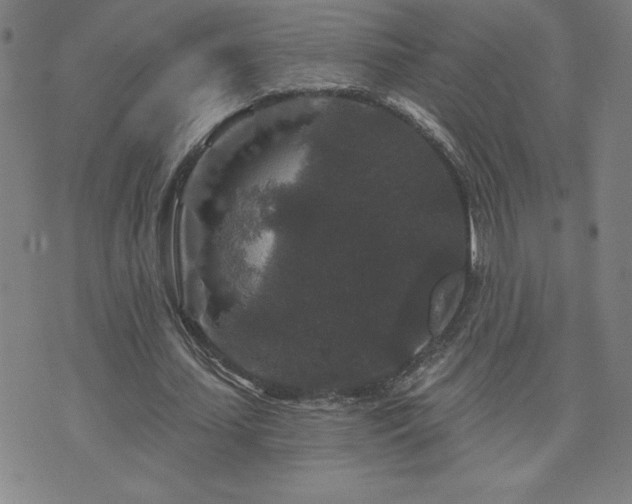 X0000071850627200606301338