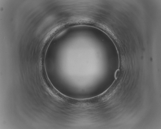 X0000071850629200606301338