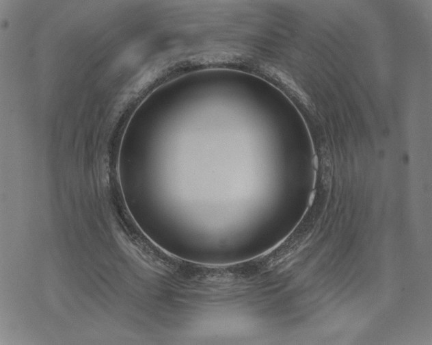 X0000071850631200606301338