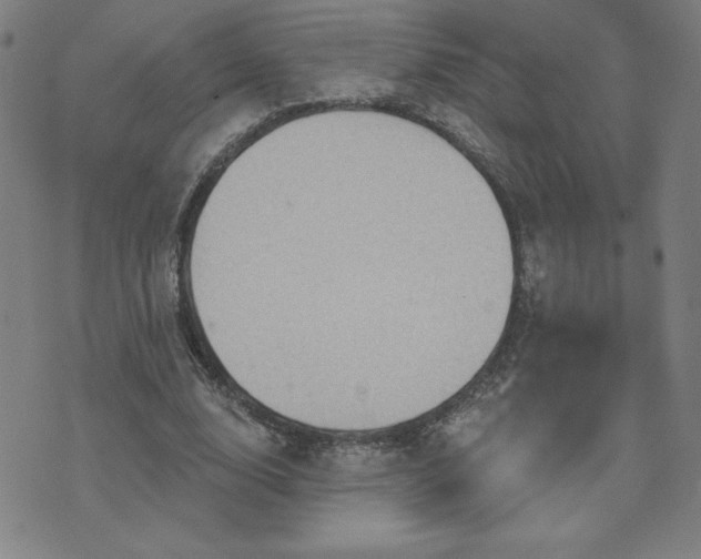 X0000071850632200606301338