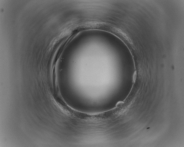 X0000071850633200606301338