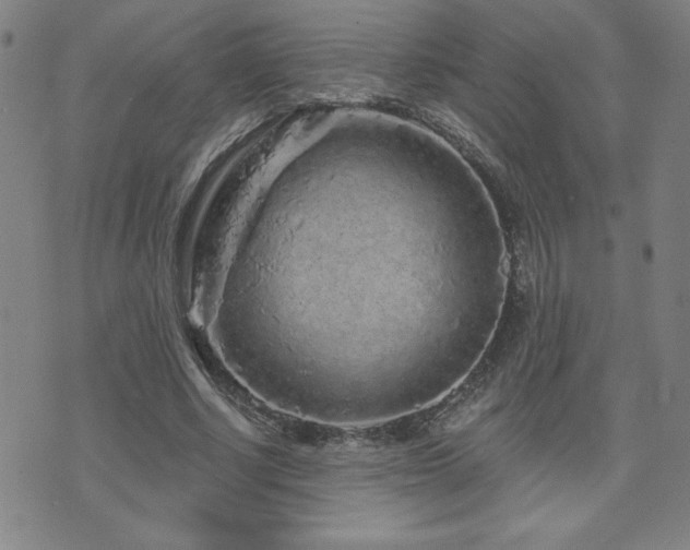 X0000071850634200606301338