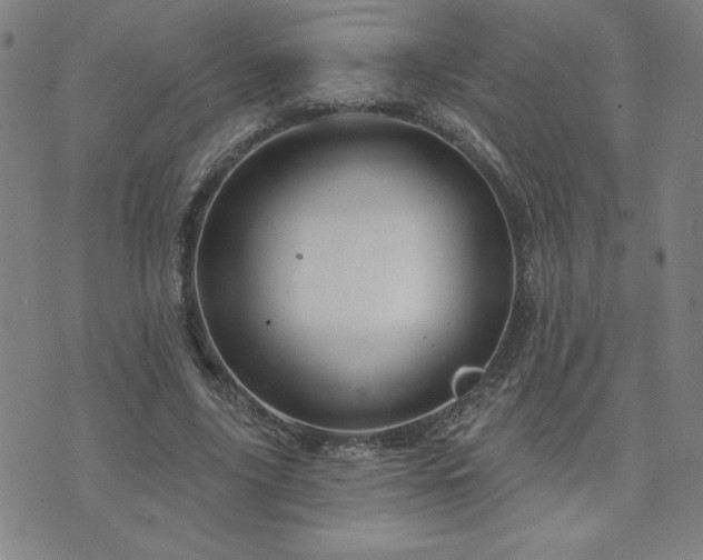 X0000071850635200606301338