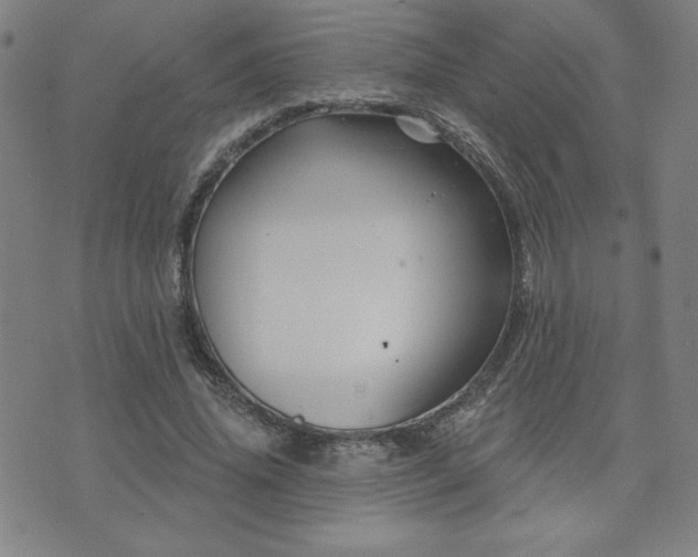 X0000071850636200606301338