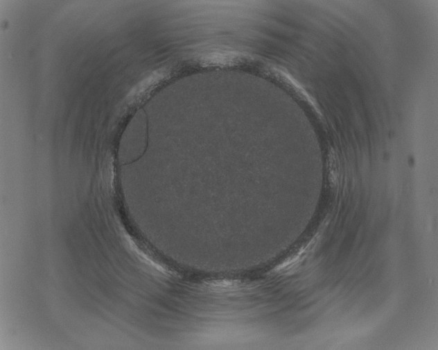 X0000071850637200606301338