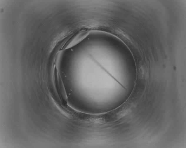 X0000071850638200606301338