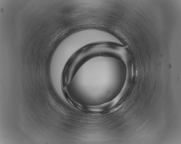 X0000071850639200606301338