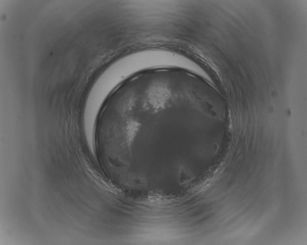 X0000071850641200606301338