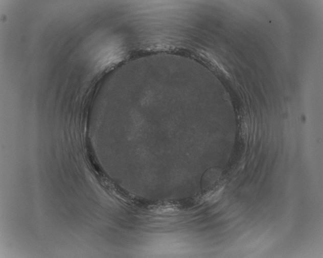 X0000071850643200606301338