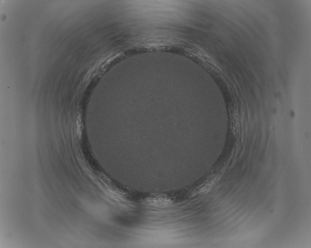 X0000071850644200606301338