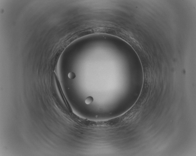 X0000071850645200606301338