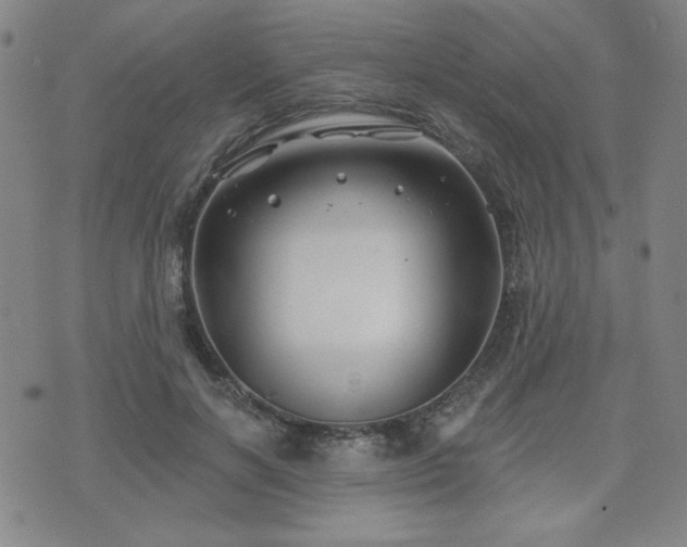 X0000071850646200606301338