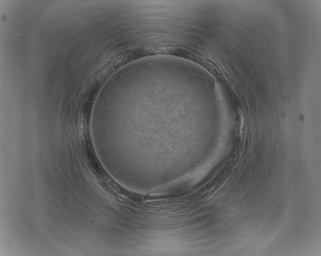 X0000071850647200606301338