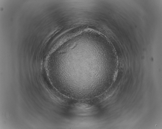 X0000071850648200606301338