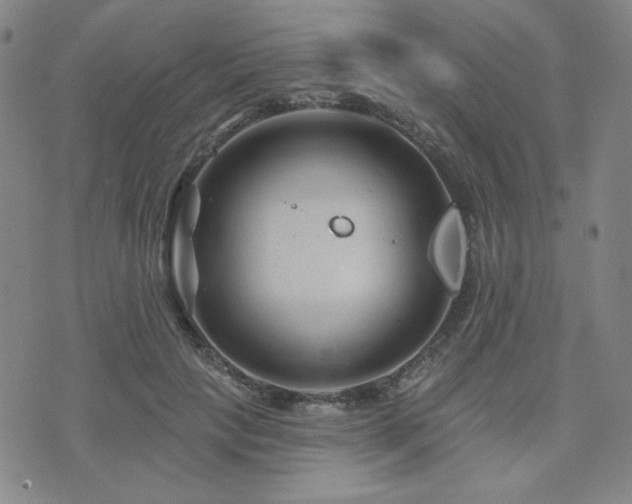 X0000071850649200606301338