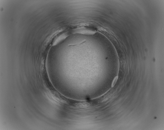 X0000071850652200606301338