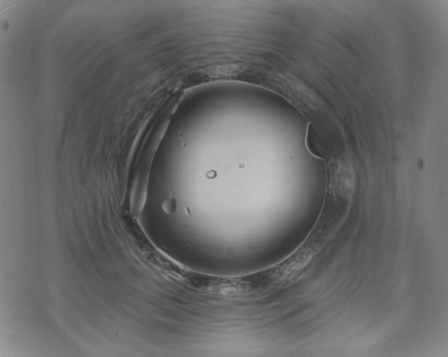 X0000071850655200606301338