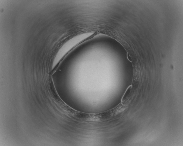 X0000071850656200606301338