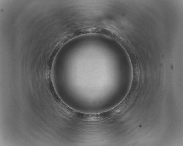 X0000071850657200606301338