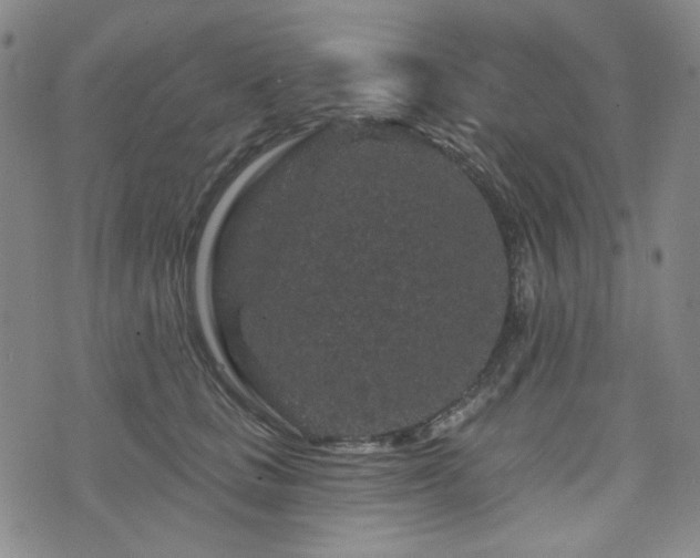 X0000071850661200606301338