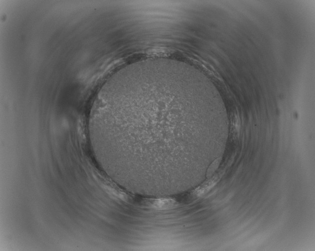 X0000071850663200606301338