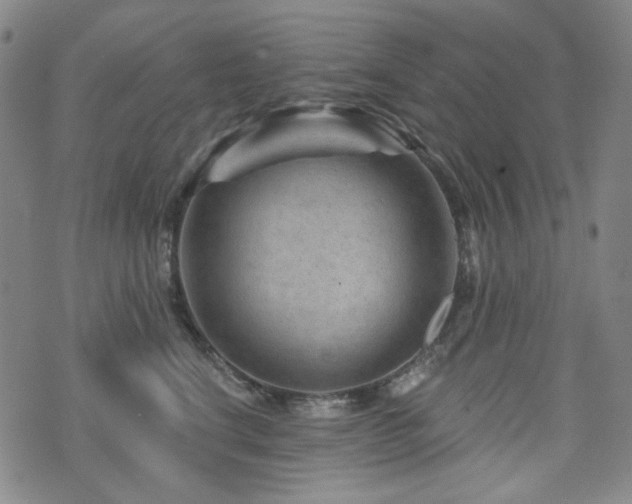 X0000071850664200606301338