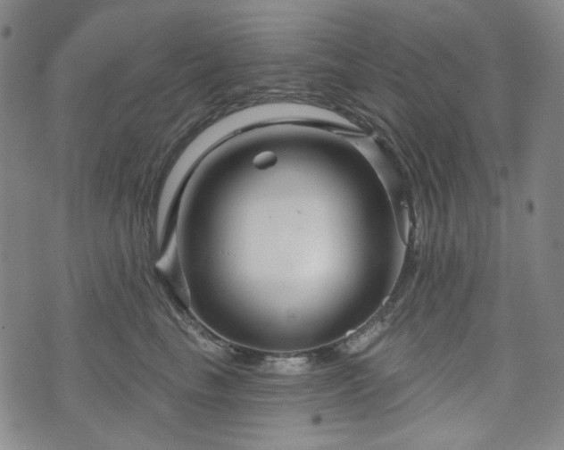 X0000071850665200606301338