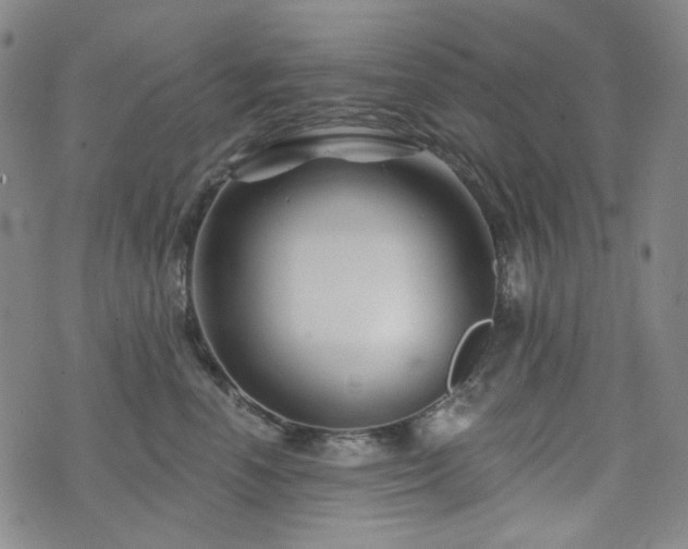 X0000071850666200606301338