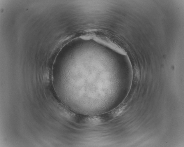 X0000071850668200606301339