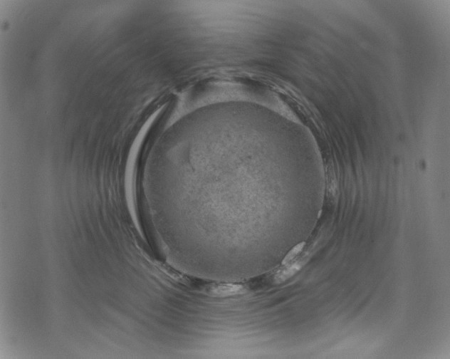 X0000071850669200606301339