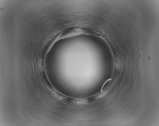 X0000071850670200606301339