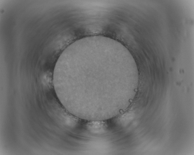 X0000071850672200606301339