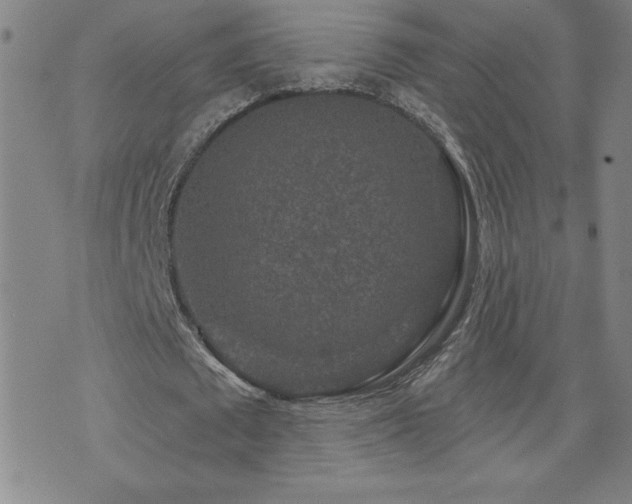 X0000071850673200606301338