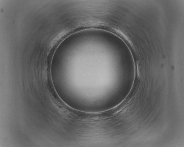 X0000071850675200606301338