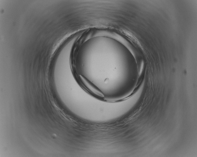 X0000071850676200606301338